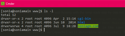 virtual hosts